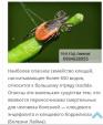 Обробка ділянок від кліщів та комарів Акарицидна обробка територій.... Оголошення Bazarok.ua