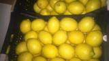 Лимоны... Объявления Bazarok.ua