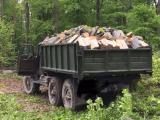 Продаю дрова твердих порід,... Оголошення Bazarok.ua