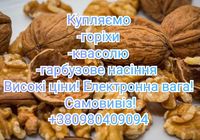 Купляємо горіхи, квасолю, гарбузове насіння... Оголошення Bazarok.ua