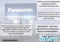 Робота в Чехії PaNASONIC... Оголошення Bazarok.ua