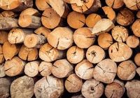 Продам дрова не дорого... Оголошення Bazarok.ua
