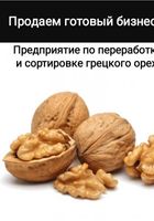 Продаем предприятие по переработке и сортировке грецкого ореха... Объявления Bazarok.ua