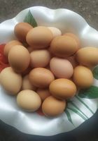 Яйця курячі домашні... Оголошення Bazarok.ua
