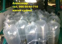 Продам малек (зарыбок) судака т.0665060710... оголошення Bazarok.ua