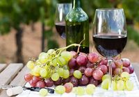 Продамо домашній виноградний напій... оголошення Bazarok.ua