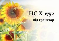 Насіння соняшника НС-Х 1752 посівний матеріал.... Оголошення Bazarok.ua