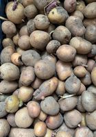 Мелка картопля... оголошення Bazarok.ua