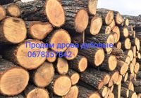 Продам дрова дубові, чурка, колоті... Оголошення Bazarok.ua