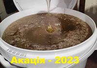 Продаю мед 2023 та 2022 (від 1 л -... оголошення Bazarok.ua