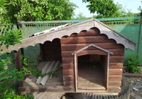 Собача будка з дерева для великого собоки... Оголошення Bazarok.ua