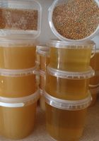 Мед натуральний (акацієвий, весняний, ріпаковий), мед в сотах, пилок... Оголошення Bazarok.ua