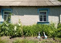 Продам дом в селе... оголошення Bazarok.ua