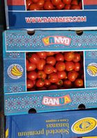 Продам помідори, Асвон... Оголошення Bazarok.ua