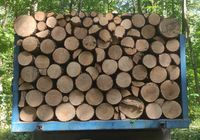Продам дрова твердых пород дуб ясень чурка метровые.. Колотые.... Оголошення Bazarok.ua