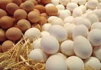 Яйця столові курячі різних категорій... Оголошення Bazarok.ua
