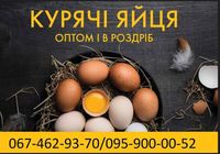 Яйця курячі столові різних категорій від виробника... Оголошення Bazarok.ua