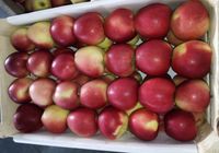 Продаємо яблука зимових сортів.... Объявления Bazarok.ua