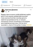 Віддам кошеня у добрі,дбайливі руки недорого... Оголошення Bazarok.ua