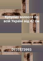 Продать волосся, куплю волося по всій Україні від 42... Оголошення Bazarok.ua