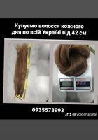 Куплю волосся, продать волосы по всій Україні від 42... Объявления Bazarok.ua