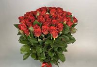 Велична троянда - ідеальний вибір для будь-якої події... Оголошення Bazarok.ua