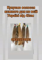 Скуповуємо волосся в Києві та по всій Україні від... Оголошення Bazarok.ua