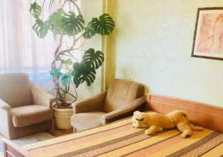 Квартира 2-кімн. оренда Киев, Шевченковский &ndash; 50 м&sup2;... Оголошення Bazarok.ua