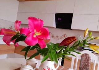 Квартира 2-кімн. оренда Киев, Голосеевский &ndash; 70 м&sup2;... Оголошення Bazarok.ua