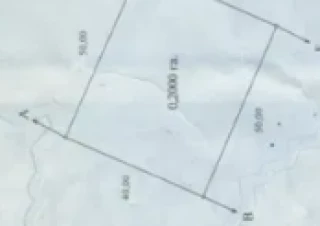 Земельна ділянка продаж Житомир, Богуния... Оголошення Bazarok.ua