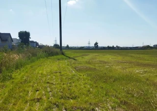 Земельна ділянка продаж Тарасовка... Объявления Bazarok.ua