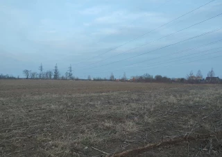 Земельна ділянка продаж Боярка... Объявления Bazarok.ua