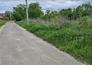 Земельна ділянка продаж Ходосовка... Объявления Bazarok.ua