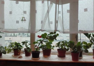 Квартира 2-кімн. продаж Харьков, Шевченковский &ndash; 55 м&sup2;... Оголошення Bazarok.ua