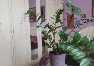 Квартира 2-кімн. продаж Харьков, Новобаварский &ndash; 70 м&sup2;... Оголошення Bazarok.ua